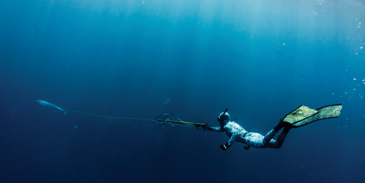 Horizontal Reel - Low Pro - Image 4