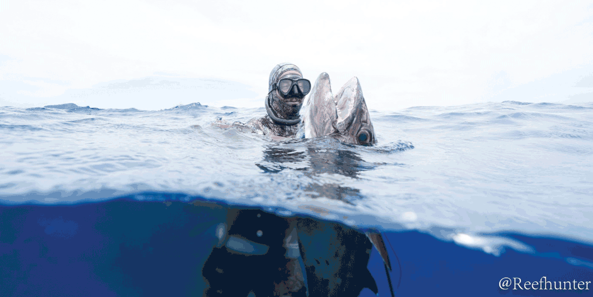 Nekton Mask - Image 5